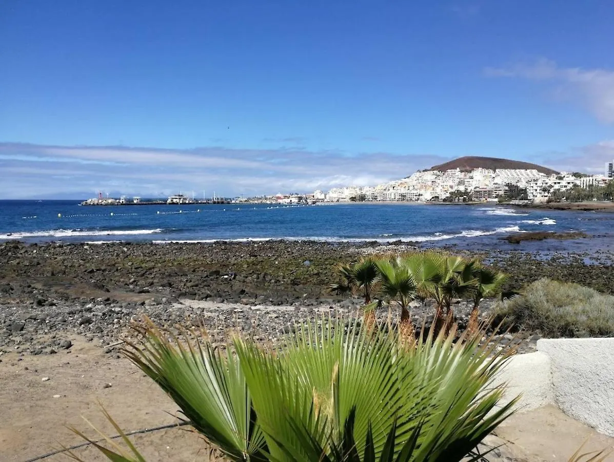 Gasthof Room In Lodge - Big Room Tenerife Sur Private Bathroom Wifi Arona